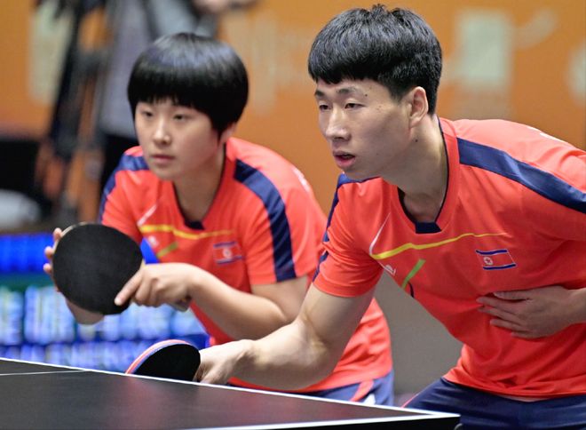 系和优质的 系和优质的